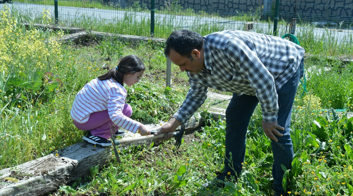 BEYLİKDÜZÜ’NDE HOBİ BAHÇELERİ SAHİPLERİYLE BULUŞTU  